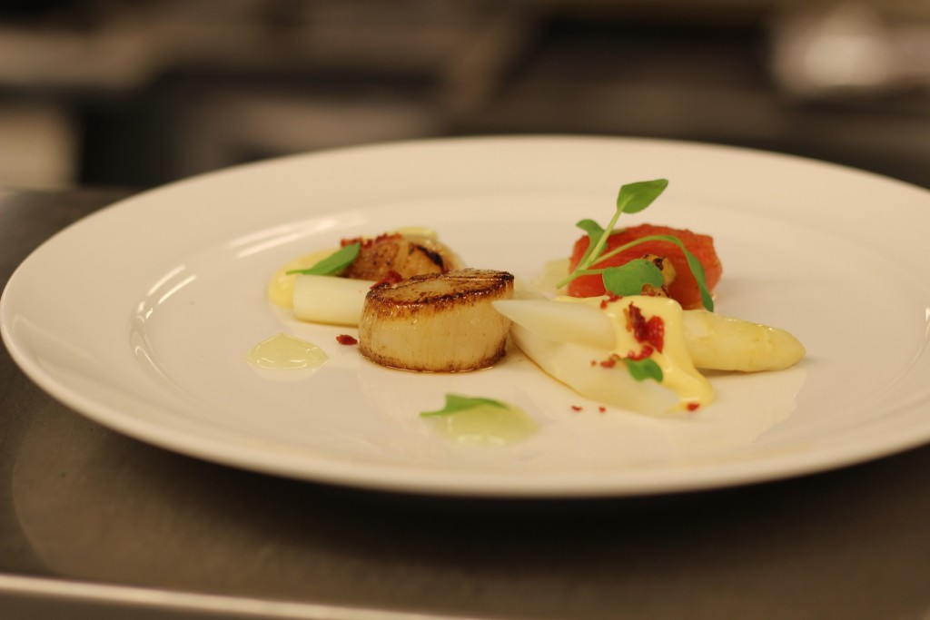 scallop-1126410_1920