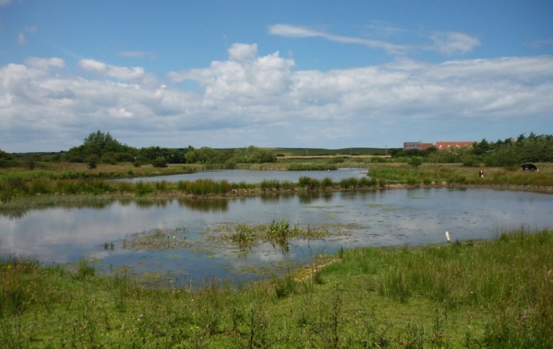 Filey dams