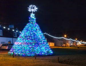 Ullapool Creel tree