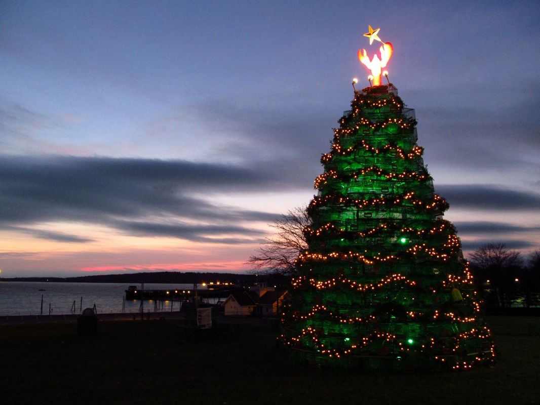 Lobster trap tree, Rockland, USA